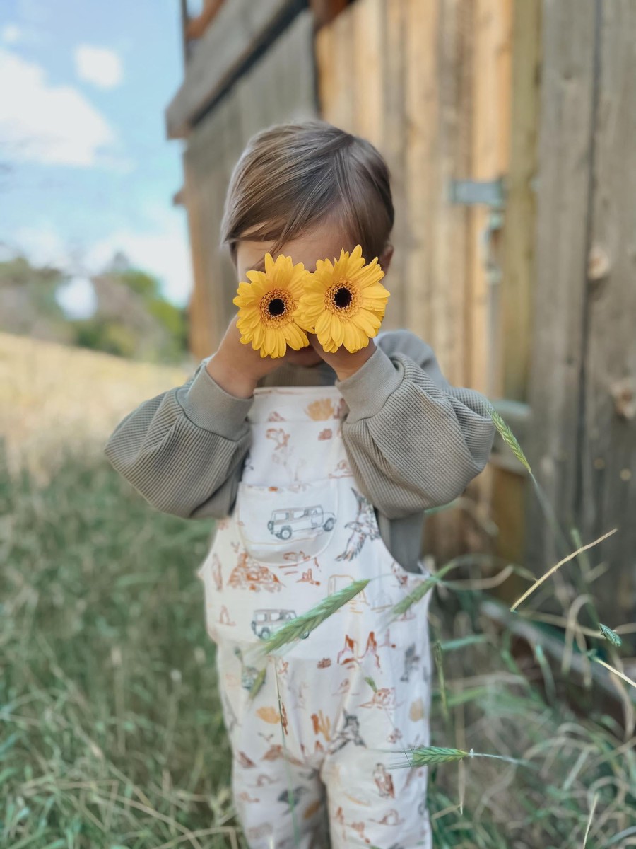 Organic Toddler Apparel Apple Park & Organic Farm Buddies All Toddler Girl | Bamboo Overalls - Canyon